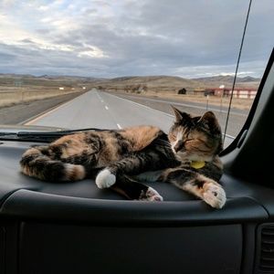 Meet your Posher, Lissette